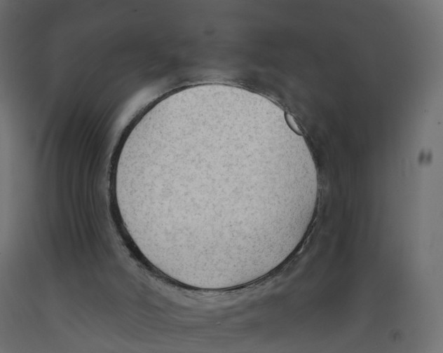 X0000091970006200710041058