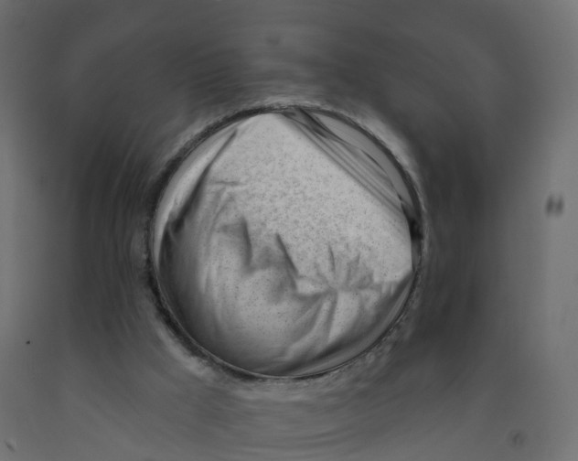 X0000091970009200710041058