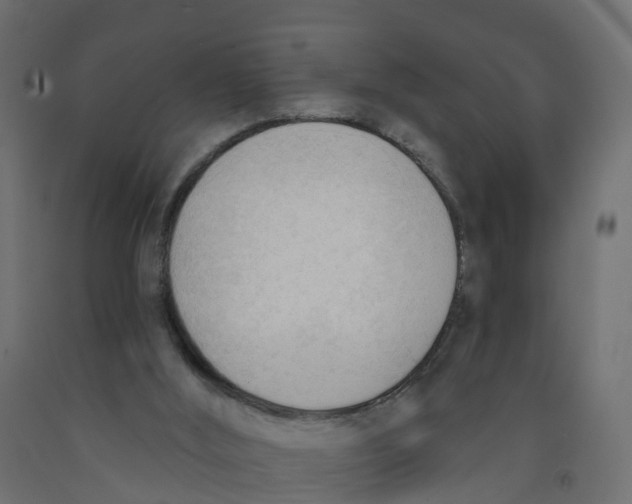 X0000091970012200710041058