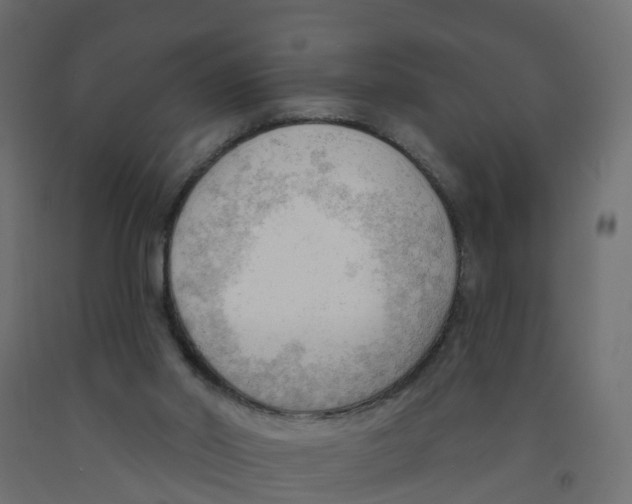 X0000091970014200710041058