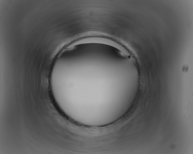 X0000091970015200710041058