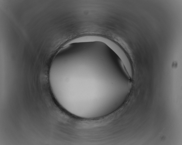 X0000091970017200710041058