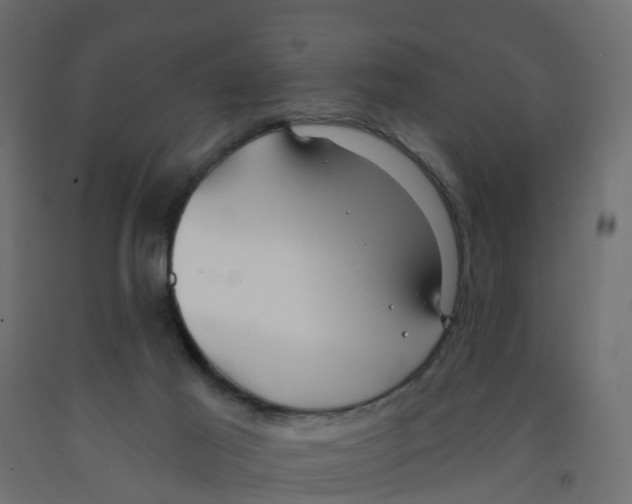 X0000091970021200710041058