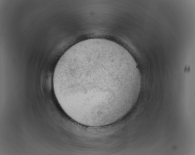 X0000091970022200710041058