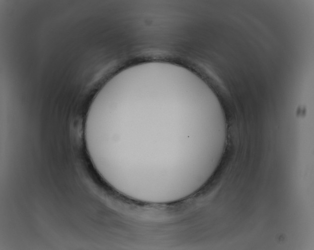 X0000091970024200710041058