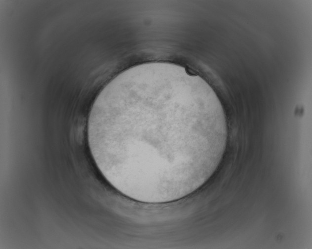 X0000091970026200710041058