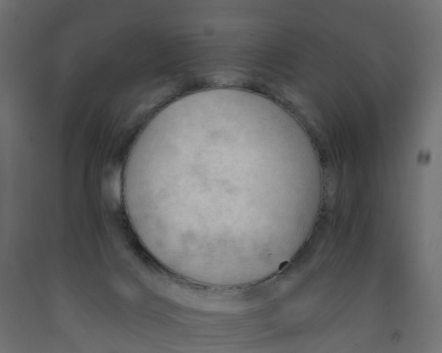 X0000091970028200710041058