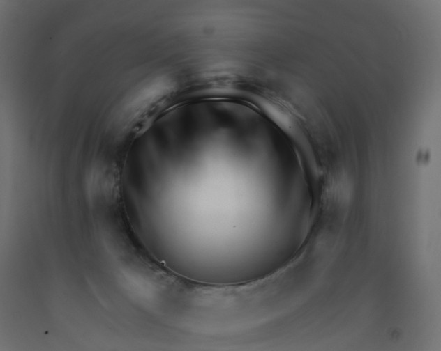 X0000091970029200710041058