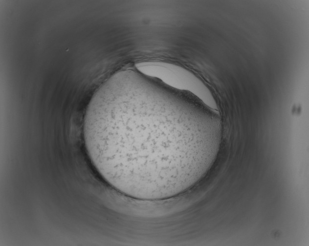 X0000091970030200710041058