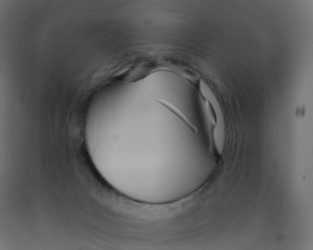 X0000091970031200710041058