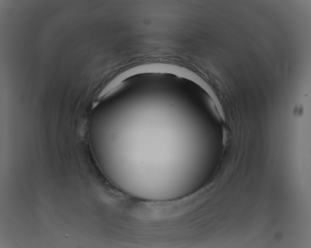 X0000091970033200710041058