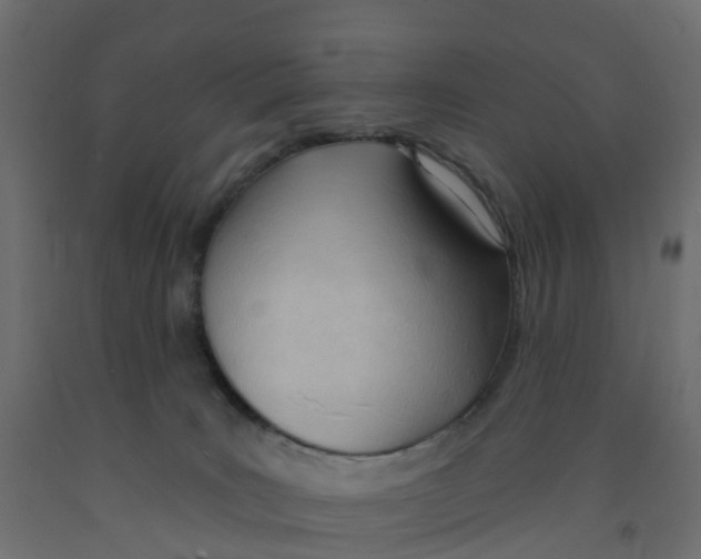 X0000091970035200710041058