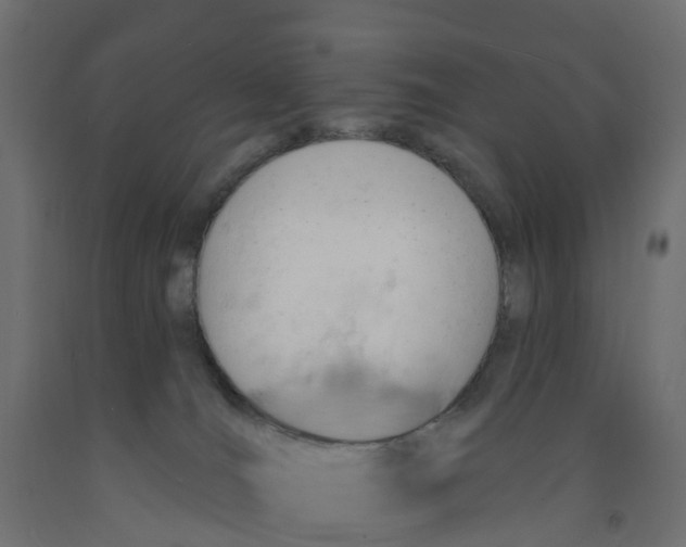 X0000091970036200710041058