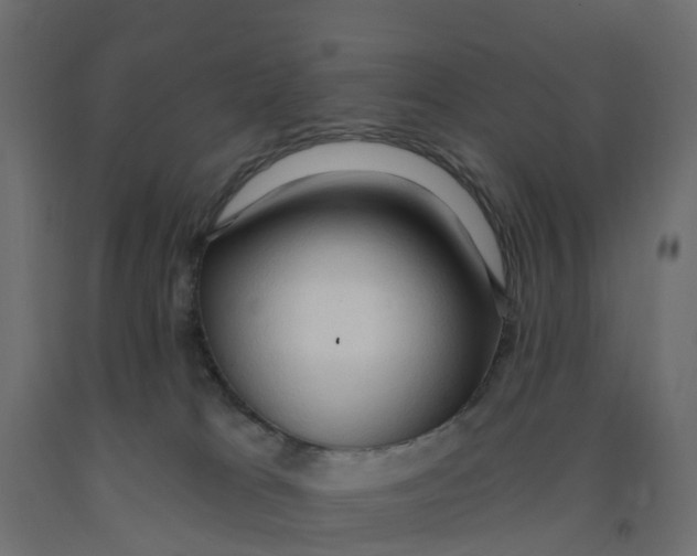 X0000091970037200710041058