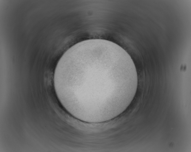 X0000091970038200710041058