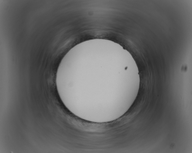 X0000091970044200710041058