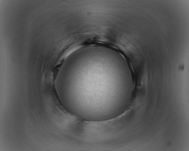 X0000091970045200710041058