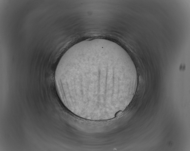 X0000091970048200710041058