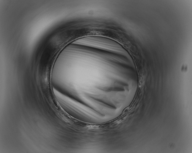 X0000091970052200710041057