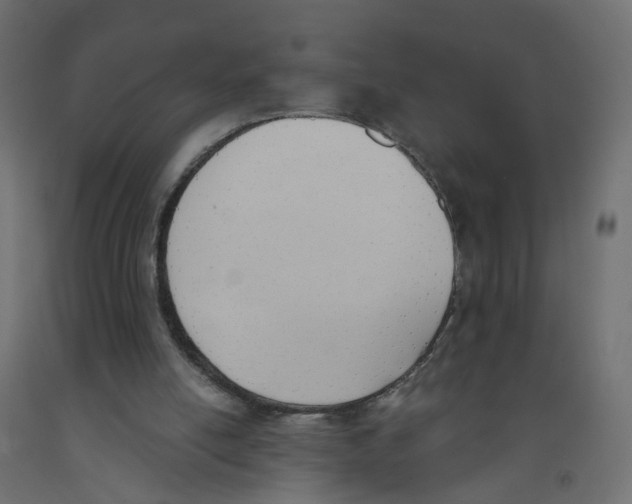 X0000091970054200710041057