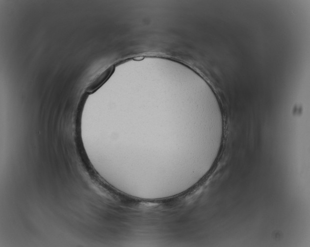 X0000091970055200710041057