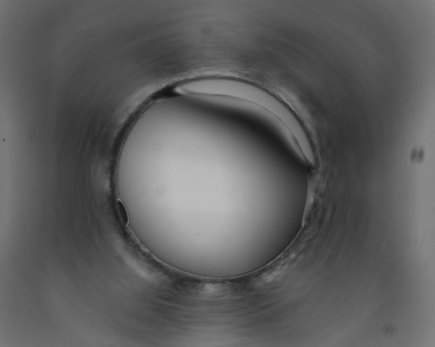 X0000091970060200710041057