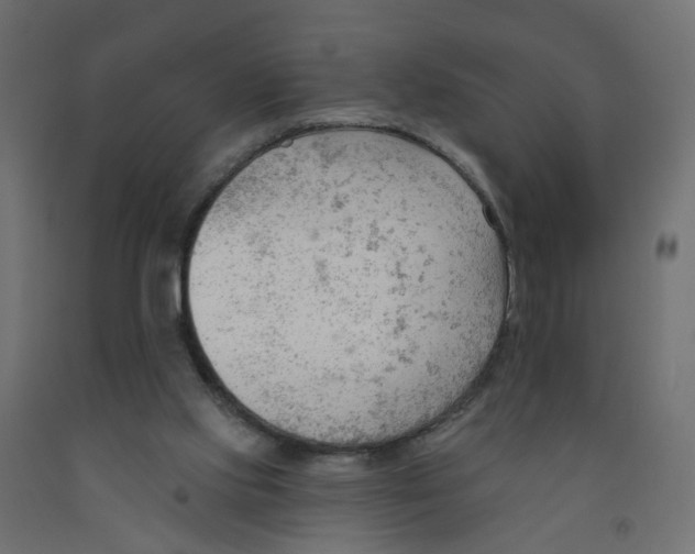 X0000091970061200710041057