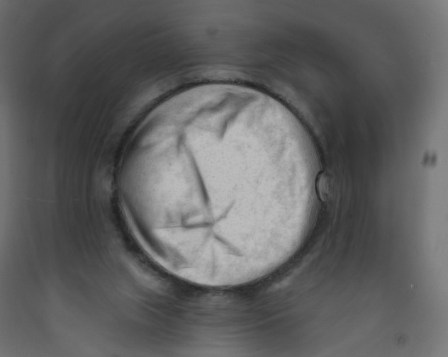 X0000091970063200710041058