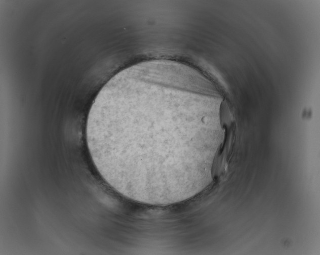 X0000091970065200710041058