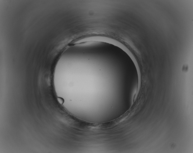 X0000091970068200710041058