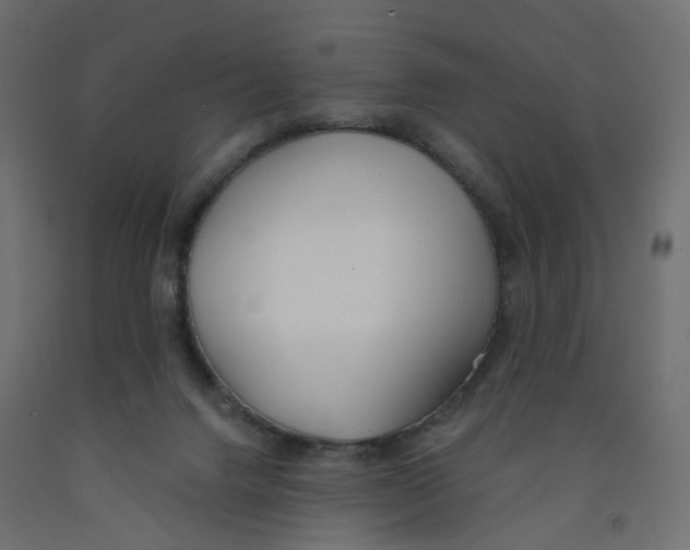 X0000091970072200710041058