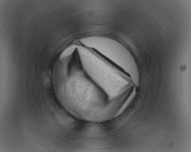 X0000091970073200710041058