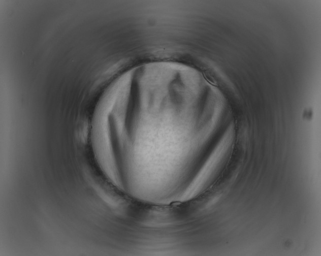 X0000091970076200710041058