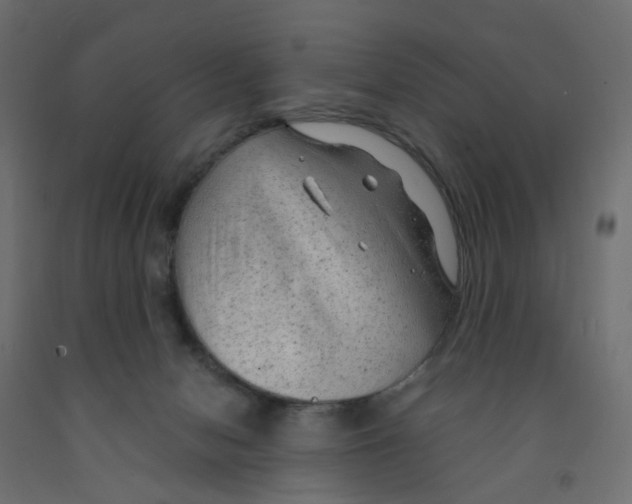 X0000091970078200710041058