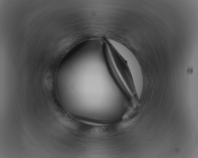 X0000091970080200710041058