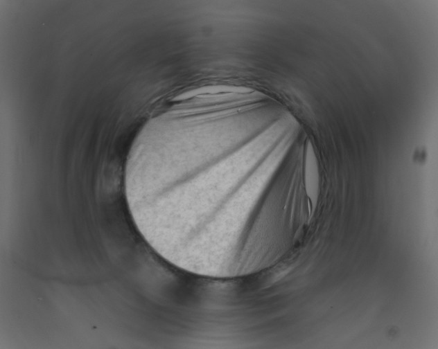 X0000091970081200710041058