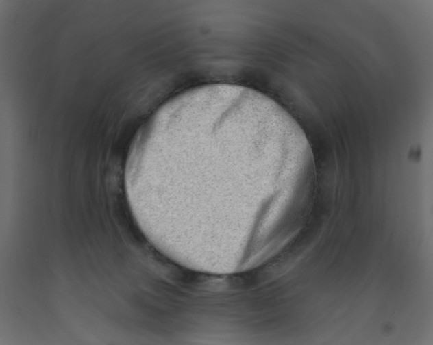 X0000091970083200710041058