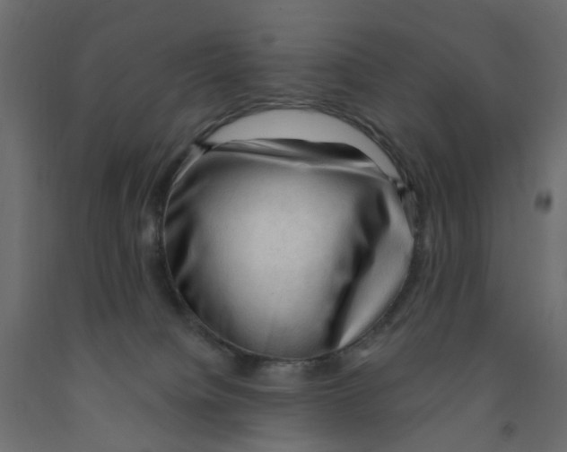 X0000091970084200710041058