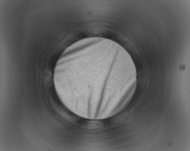 X0000091970087200710041058