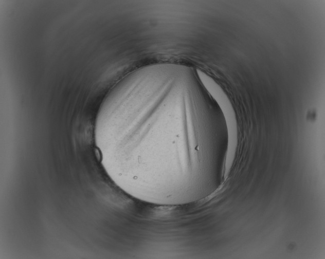 X0000091970090200710041058