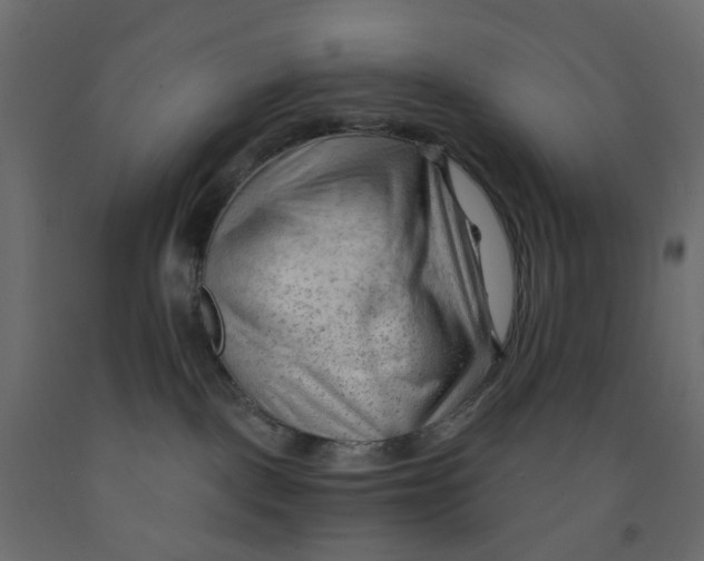 X0000091970093200710041058