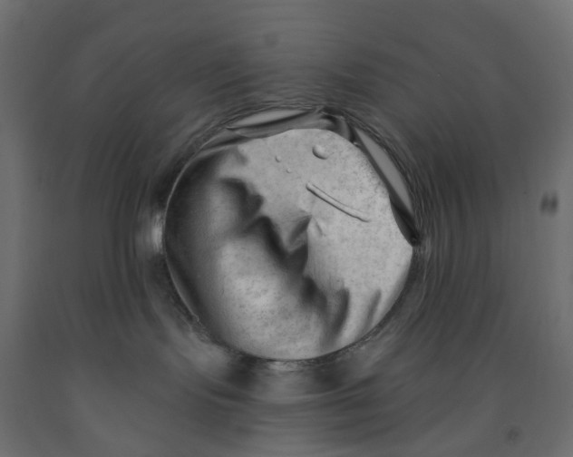 X0000091970095200710041058