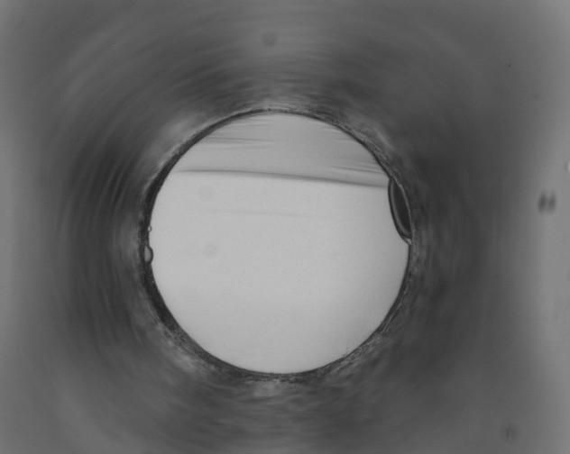 X0000091970098200710041057