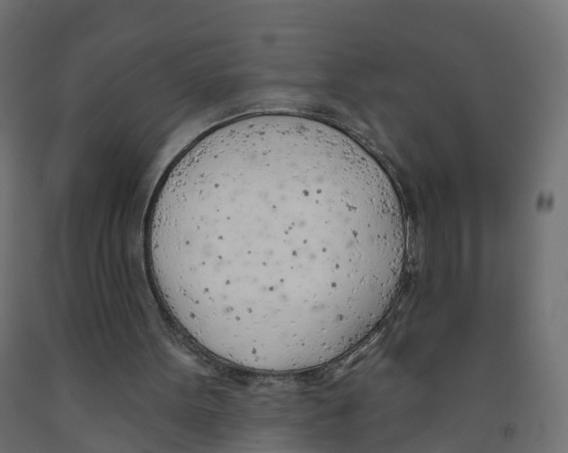 X0000091970099200710041057