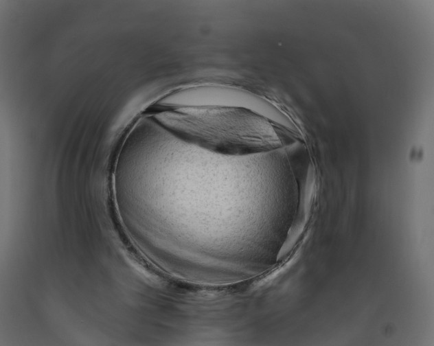 X0000091970101200710041057