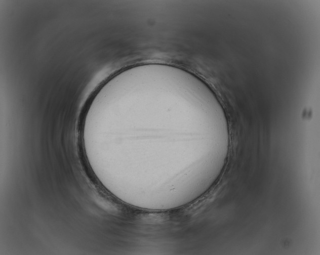 X0000091970102200710041057