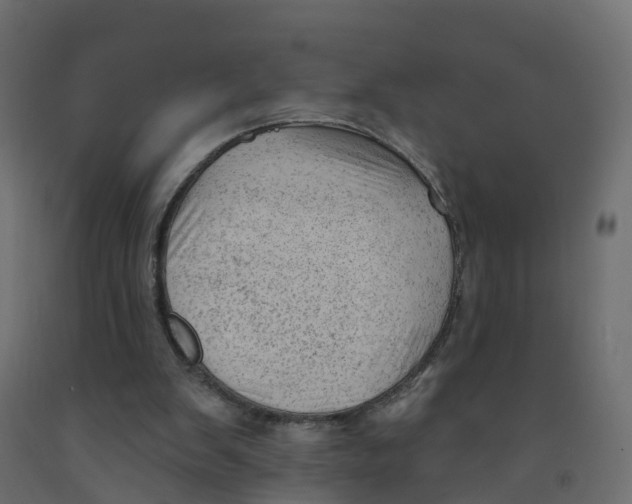 X0000091970103200710041057