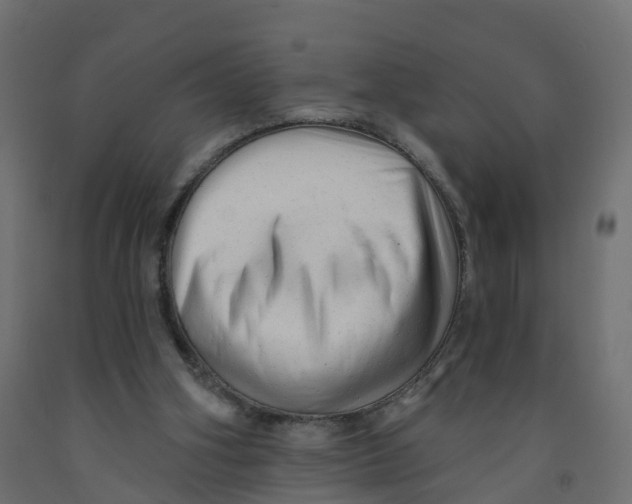 X0000091970106200710041057