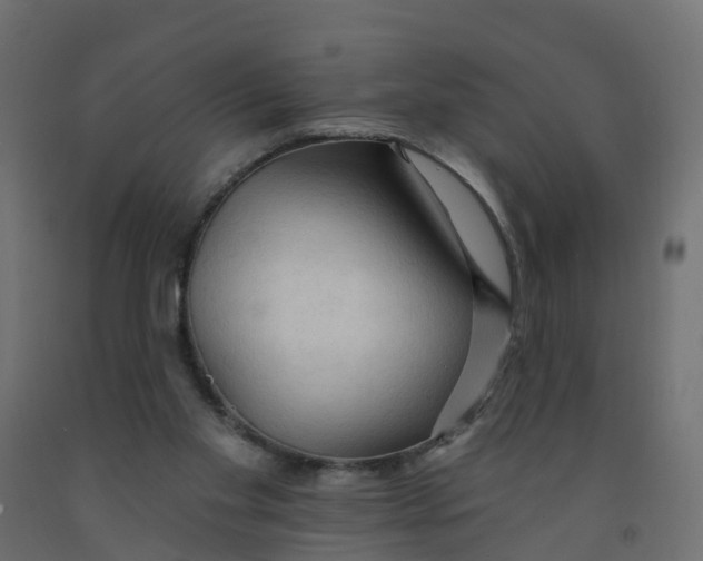 X0000091970109200710041057