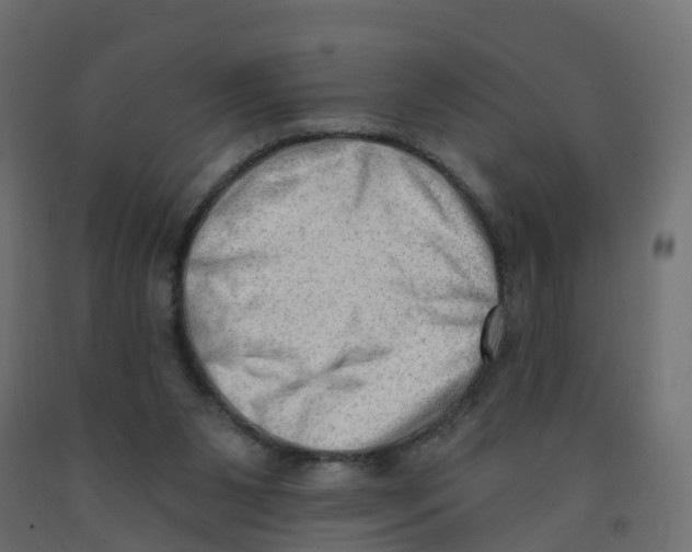 X0000091970111200710041057